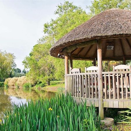 Northlands Farm - Old Farm Cottage チチェスター エクステリア 写真