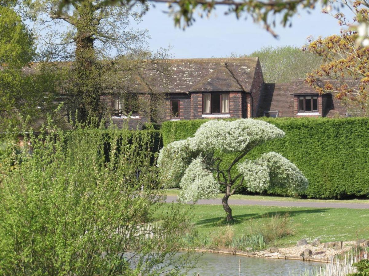 Northlands Farm - Old Farm Cottage チチェスター エクステリア 写真
